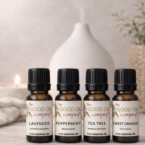 Everyday Essentials Collection