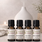 Everyday Essentials Collection