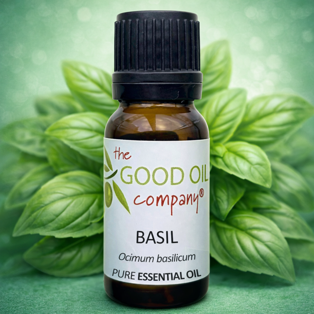 Basil Essential Oil