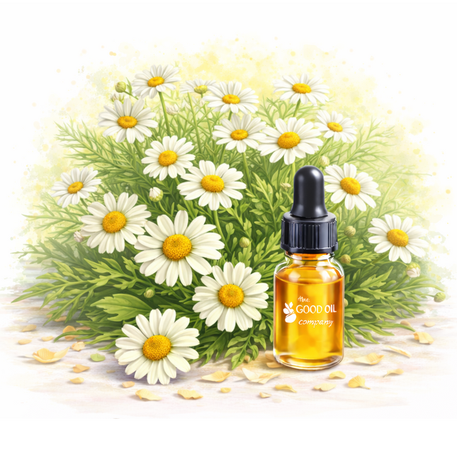 Chamomile - Roman Essential Oil
