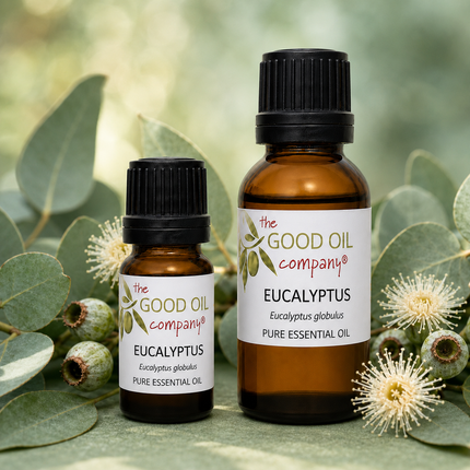 Eucalyptus Essential Oil