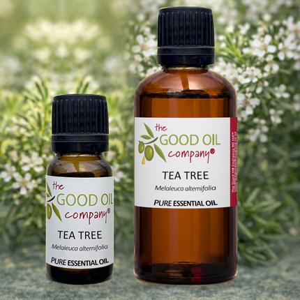 Tea Tree Essential Oil in 10 ml and 50 ml amber bottles