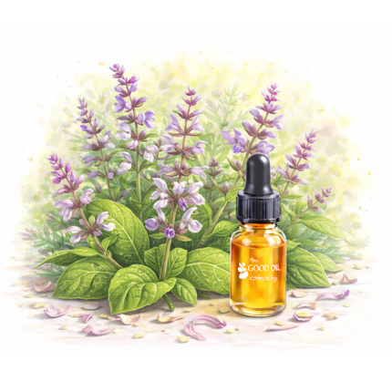 Clary Sage Essential Oil