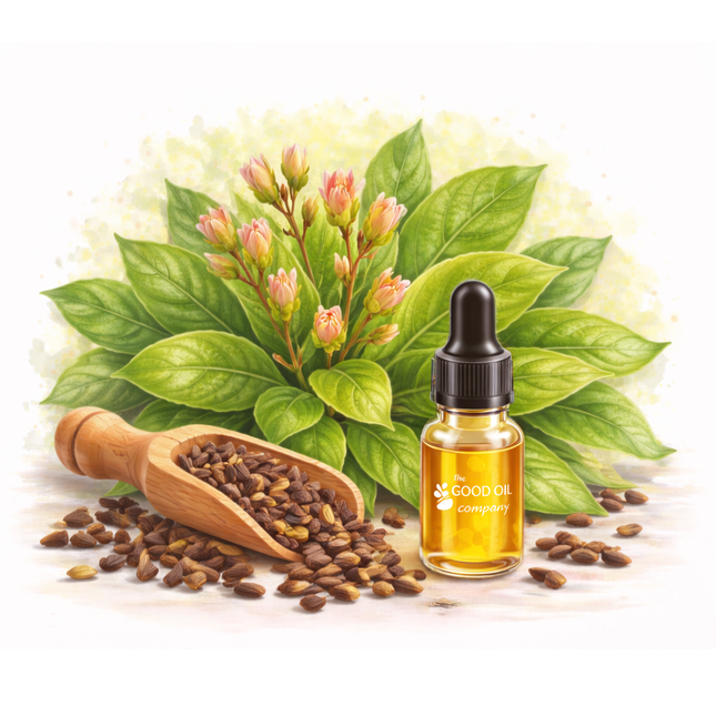 Clove Bud Essential Oil