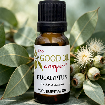 Eucalyptus Essential Oil