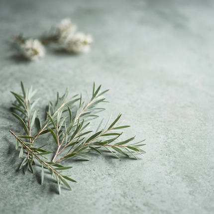 Tea Tree Essential Oil