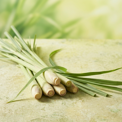 Lemongrass Essential Oil