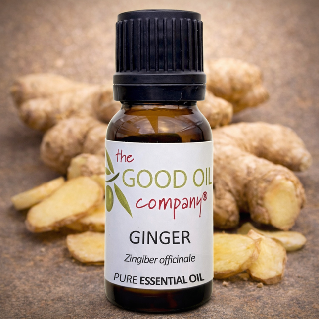 Ginger Essential Oil