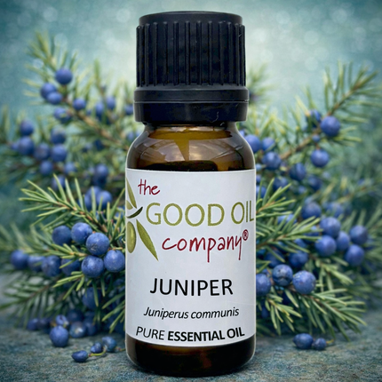 Juniper Essential Oil