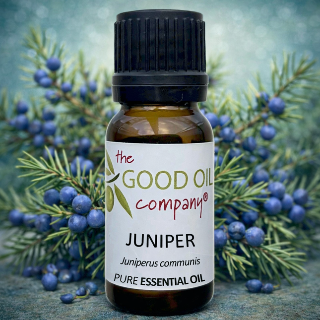 Juniper Essential Oil