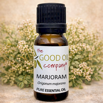 Marjoram Essential Oil