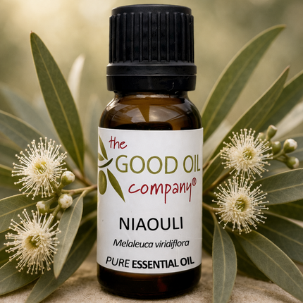 Niaouli Essential Oil