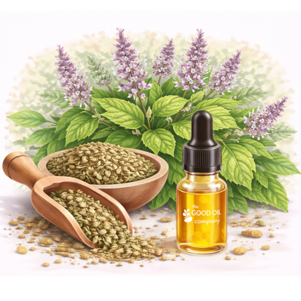 Patchouli Essential Oil