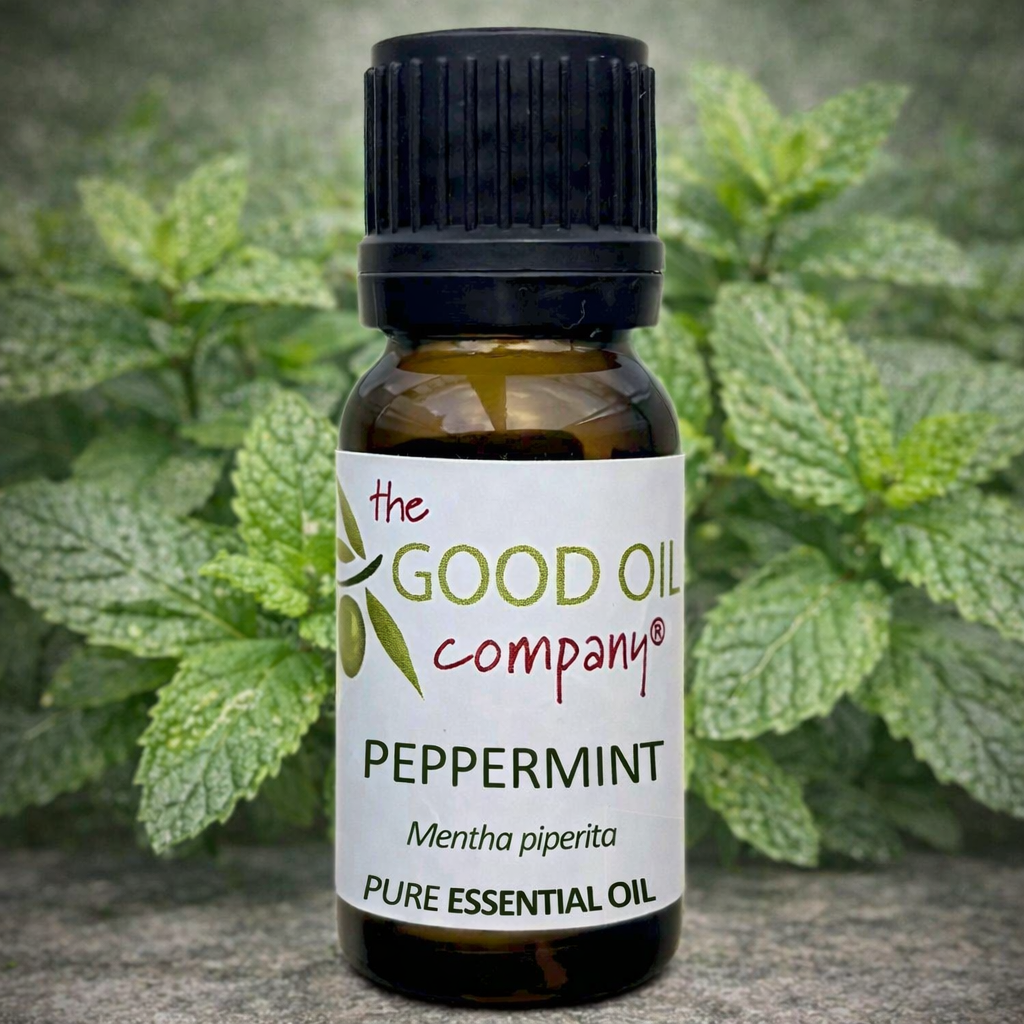 Peppermint Essential Oil Steam Distilled The Good Oil Company peppermint-essential-oil-steam-distilled-the-good-oil-company