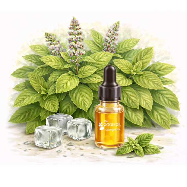 Black Pepper Essential Oil