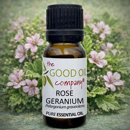 Rose Geranium Essential Oil