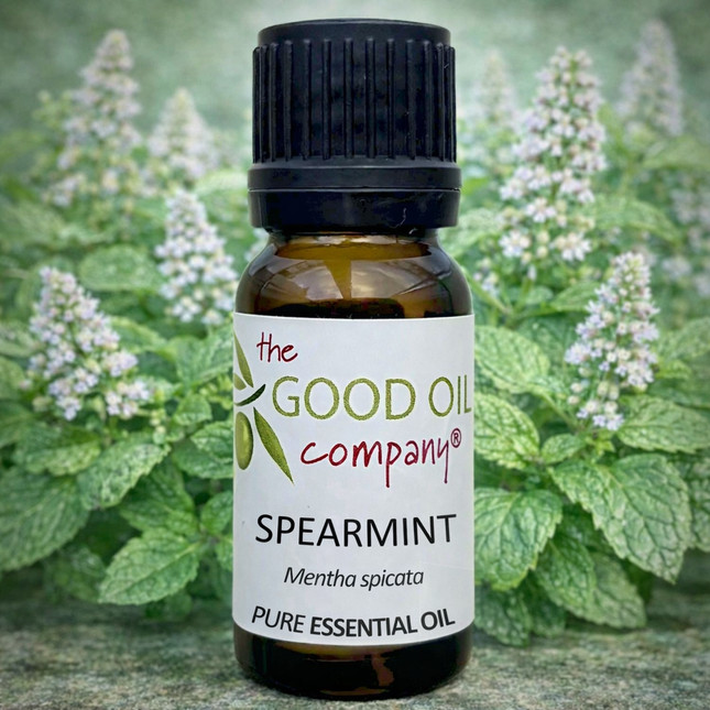 Spearmint Essential Oil
