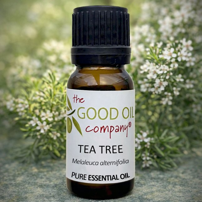 Tea Tree Essential Oil