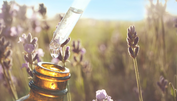 <h2><a href="/pages/proven-pure" title="ProvenPure™: Our Quality Standard">ProvenPure™</a> essential oils you can trust<br/></h2>